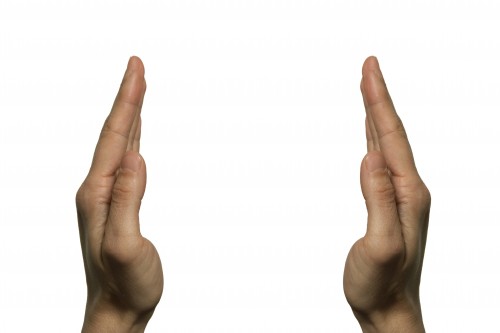 two-hands-facing-left-hand
